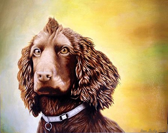 Art by Vance Sterley - Oscar