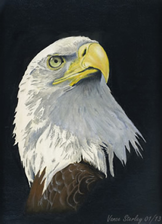 Art by Vance Sterley - Eagle 1