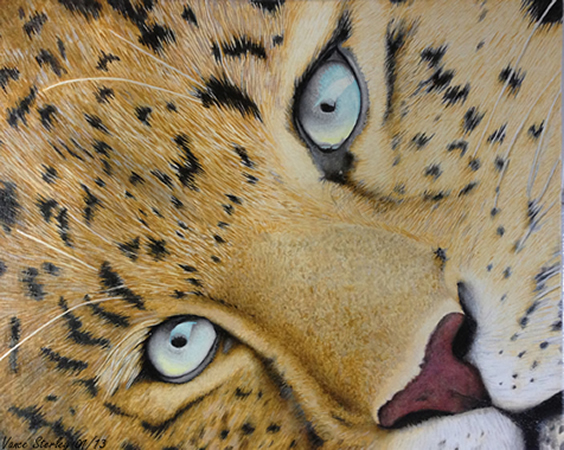 Art by Vance Sterley - Blue eyes