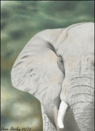 Art by Vance Sterley - Elephant